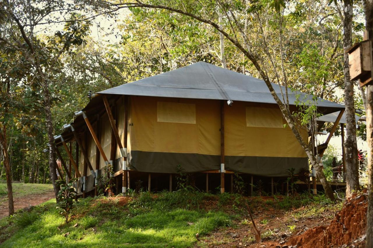 El Pulpo Safari Lodge Ojochal Exterior photo
